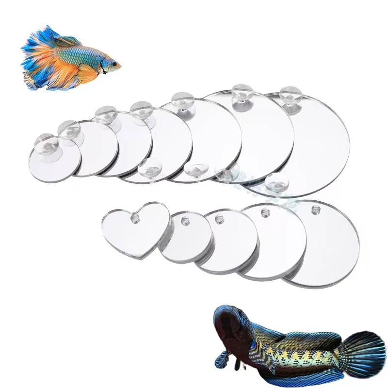Aquarium Betta Mirror Fish Tan - Aquarium Fish Game avis et prix