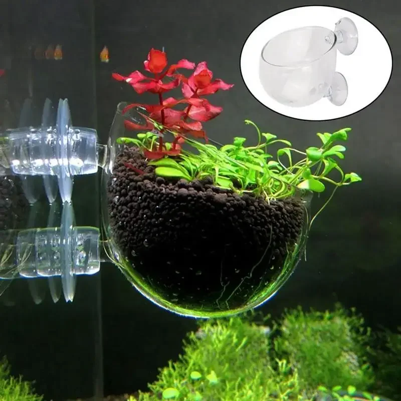 Aquarium Decoration Plant Cup  - Aquarium Fish Background avis et prix