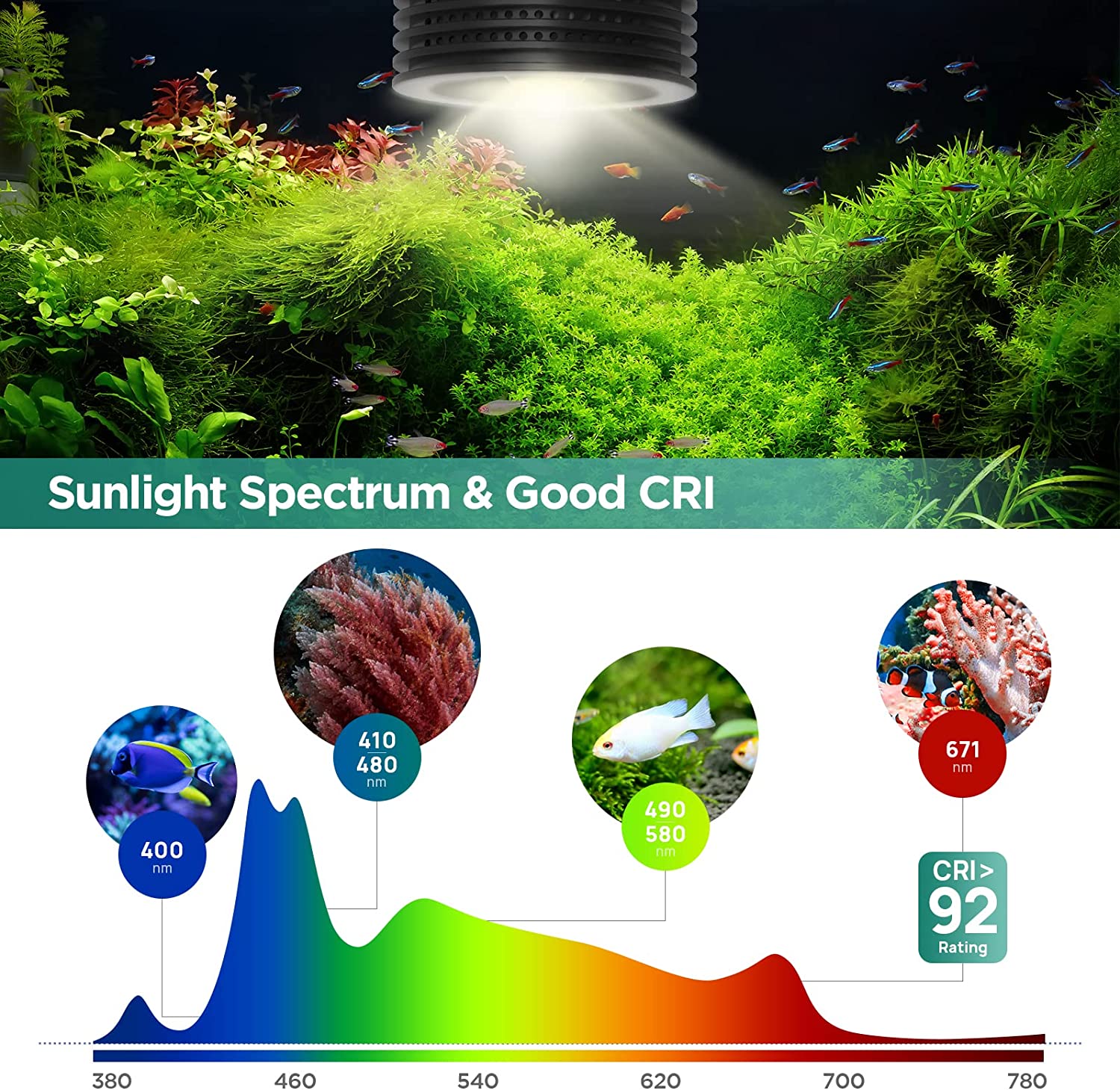 Lominie Asta 20 Freshwater 18W - Refugium Light Nano avis et prix