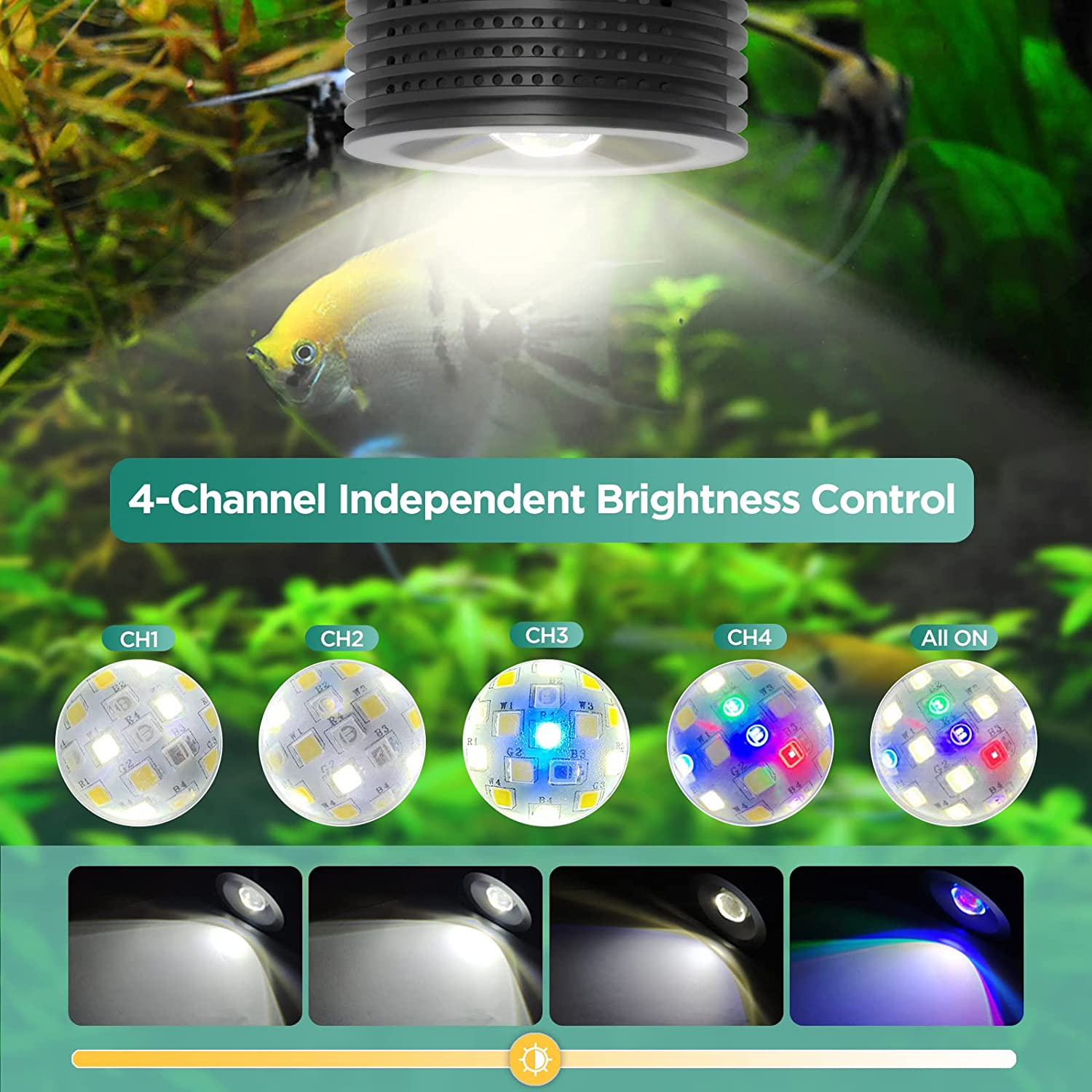 Lominie Asta 20 Freshwater 18W - Refugium Light Nano avis et prix