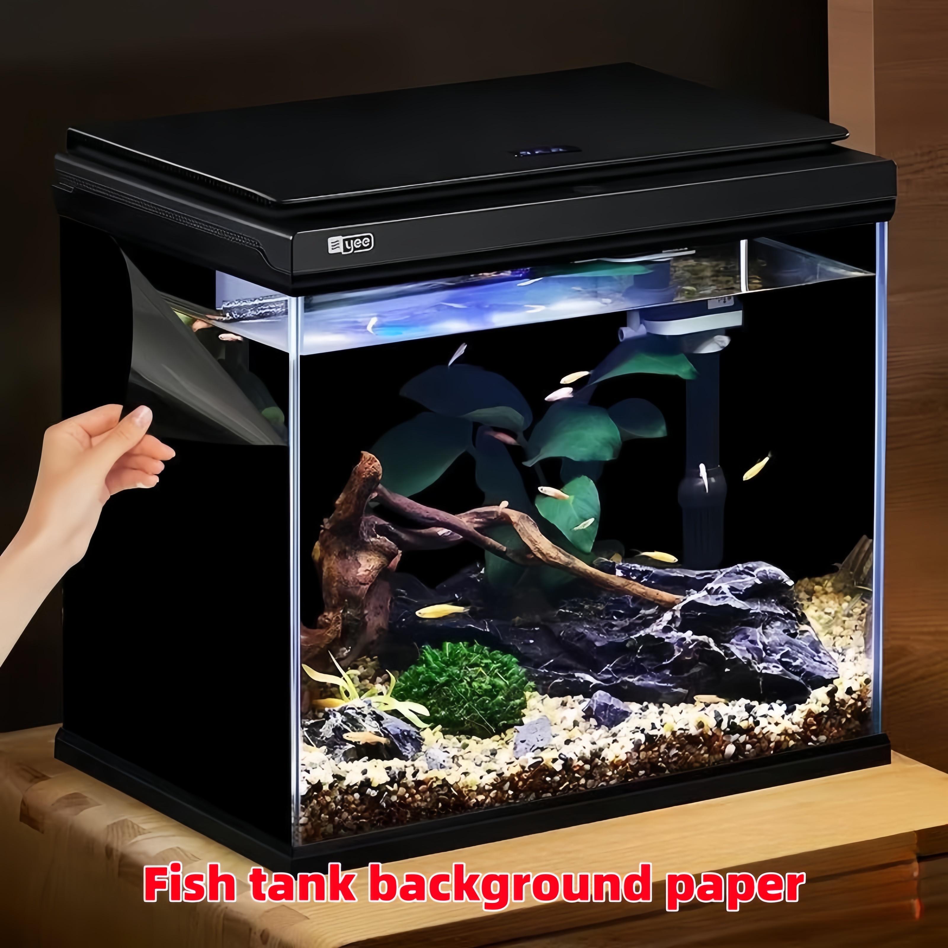 Black Aquarium Background Wall - Aquarium Fish Poster avis et prix